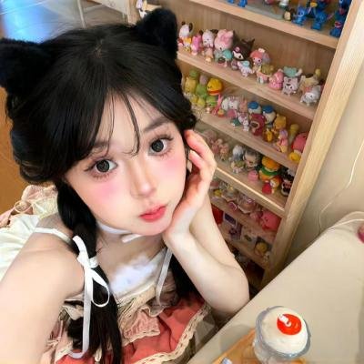 征服北极的人